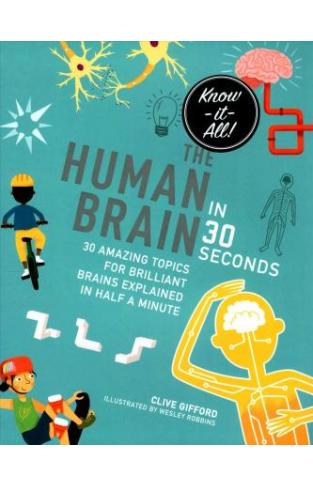The Human Brain in 30 Seconds