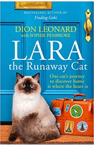 Lara The Runaway Cat