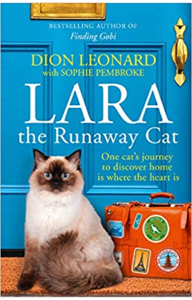 Lara The Runaway Cat