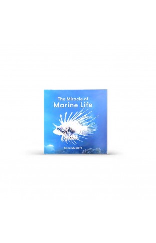 The Miracle Of Marine Life