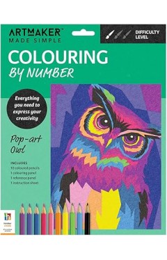 hinkler Pop-Art Owl Colouring by Number Kit