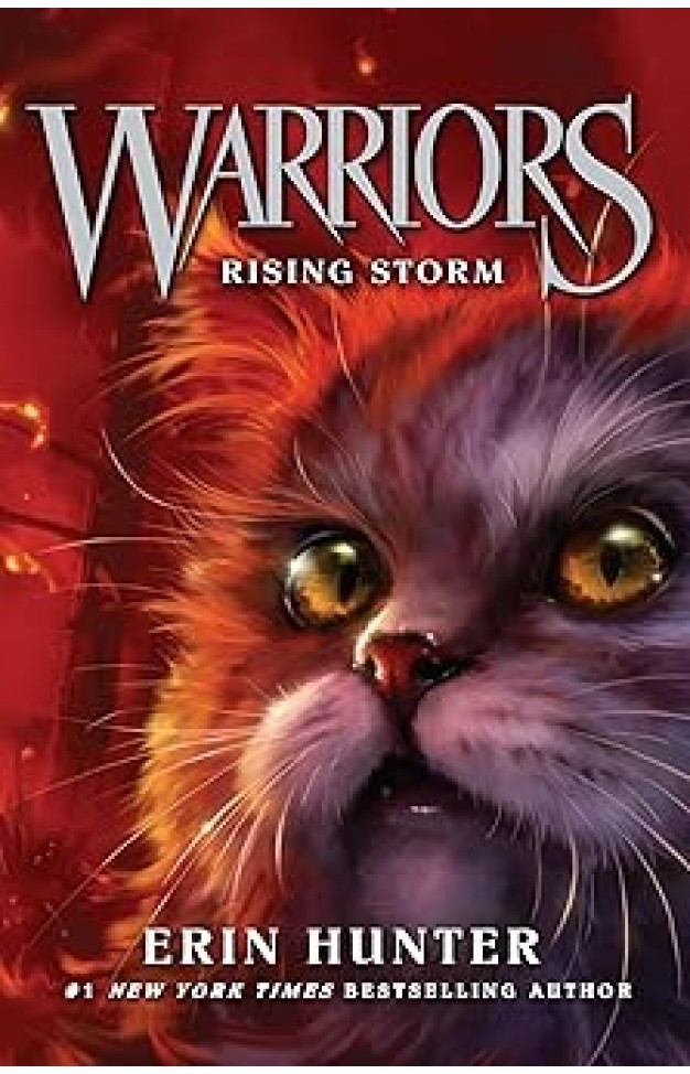 Rising Storm Warriors Book  4