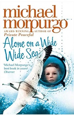 Alone On A Wide Wide Sea 