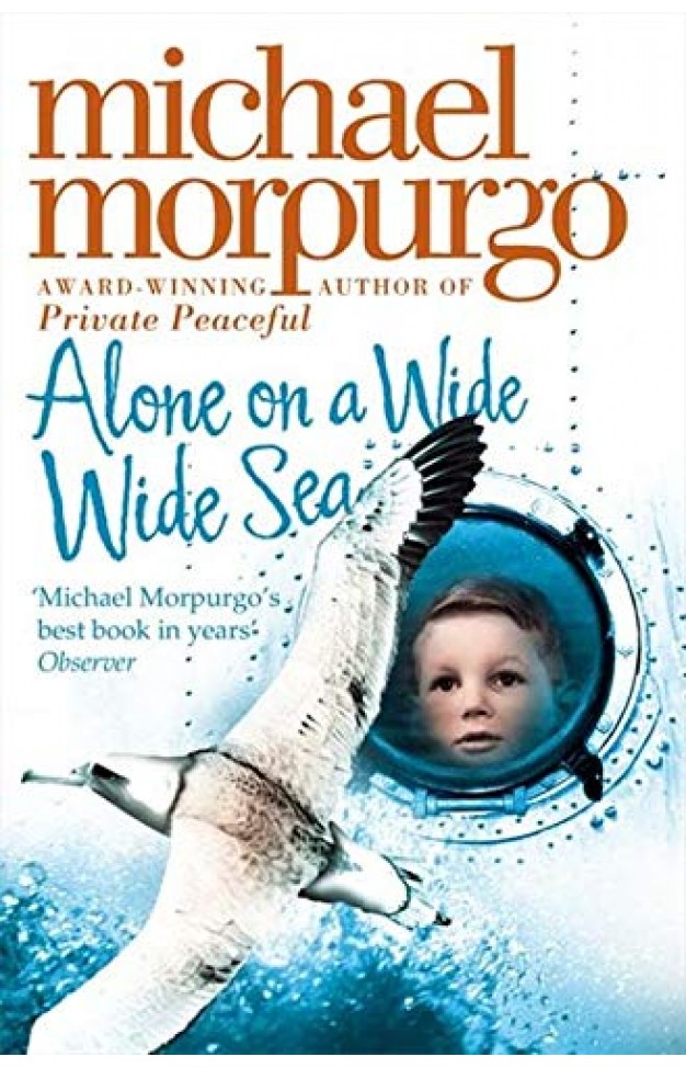 Alone On A Wide Wide Sea 