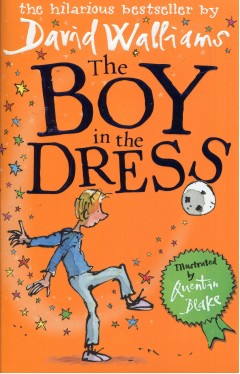 The Boy In The Dress