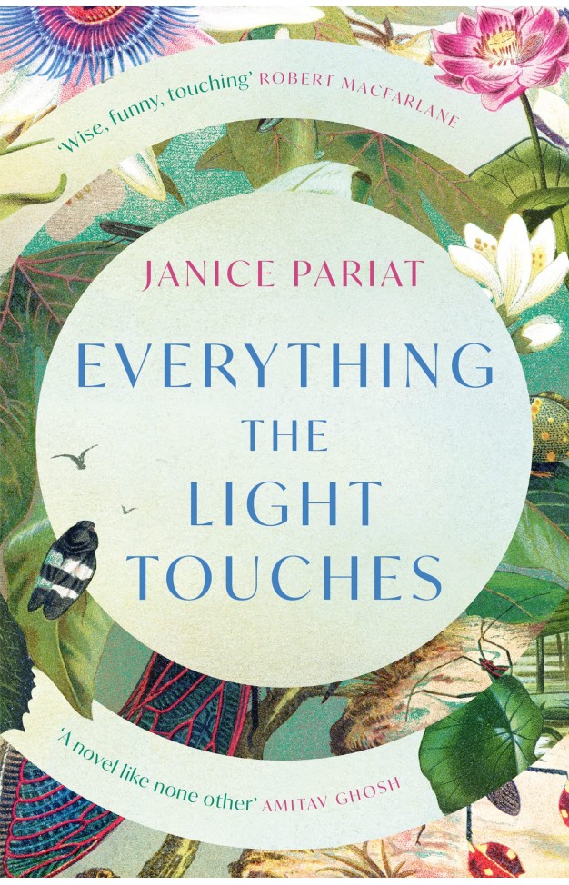 Everything the Light Touches