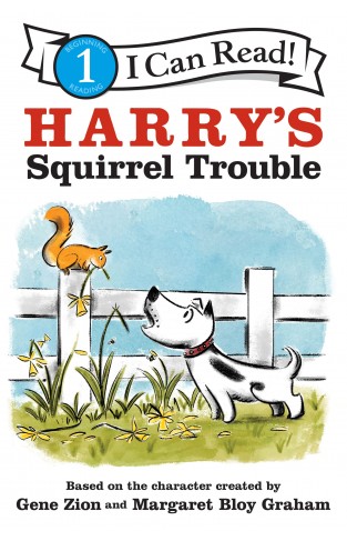 Harrys Squirrel Trouble