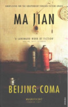Beijing Coma