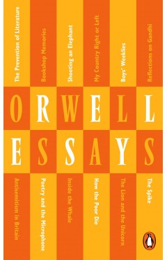 Essays (Penguin Modern Classics)