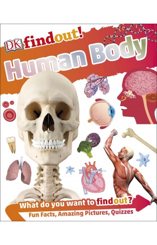 DKfindout! Human Body