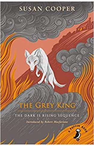 The Grey King  The Dark Is Rising Sequence