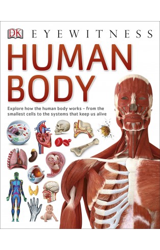 Human Body