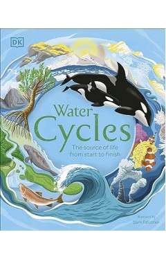 Water Cycles (DK Life Cycles)