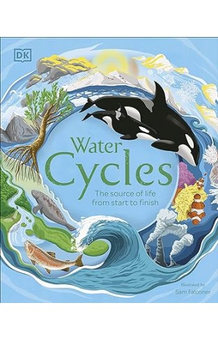 Water Cycles (DK Life Cycles)