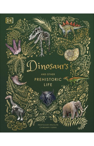 Dinosaurs and Other Prehistoric Life