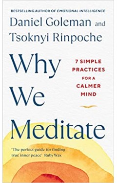 Why We Meditate - A Science-Based Guidebook