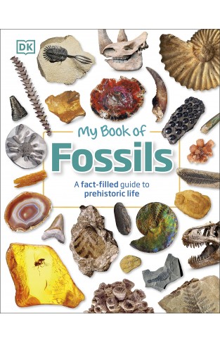 My Book of Fossils - Prehistoric Treasures to Intrigue, Inspire, and Thrill!