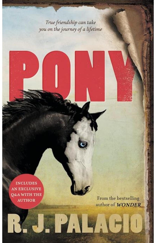 Pony