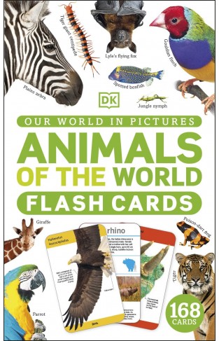 Our World in Pictures Animals of the World Flash Cards