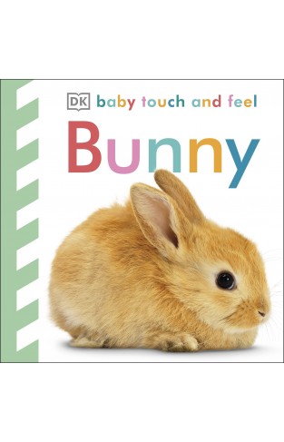 Baby Touch and Feel Bunny