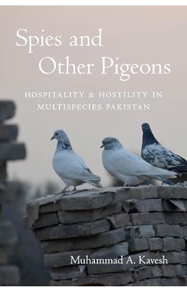 Spies and Other Pigeons
