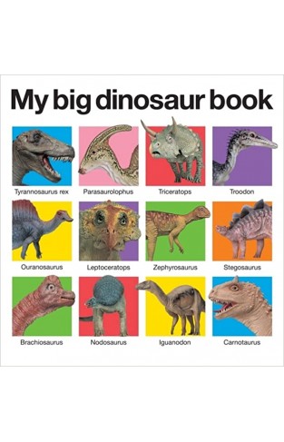 My Big Dinosaur Book