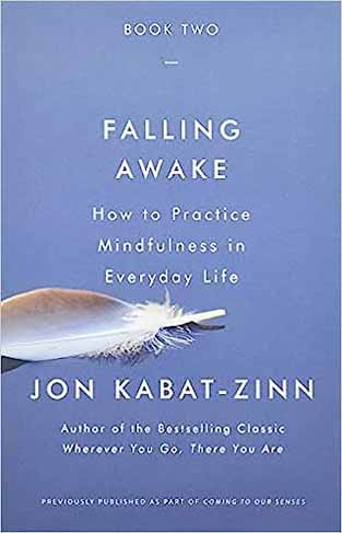 Falling Awake - How to Practice Mindfulness in Everyday Life