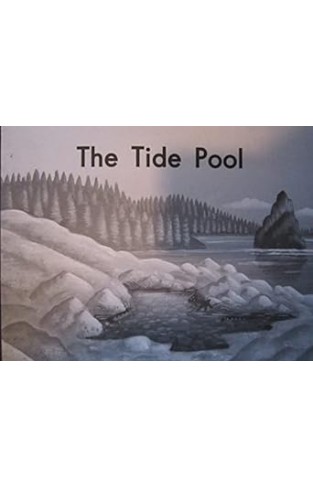 The Tide Pool