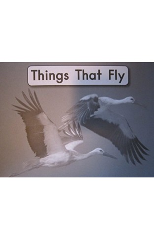 Things That Fly