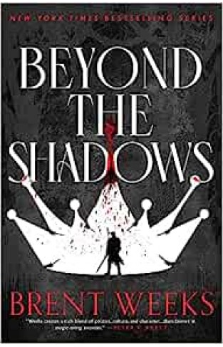 Beyond the Shadows - Book 3 of the Night Angel