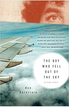 The Boy Who Fell Out of the Sky: A True Story