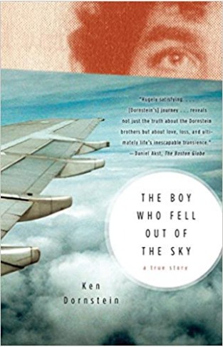 The Boy Who Fell Out of the Sky: A True Story
