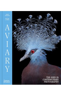 Aviary: The Bird in Contemporary Photography