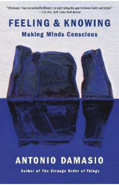 Feeling &amp; Knowing - Making Minds Conscious