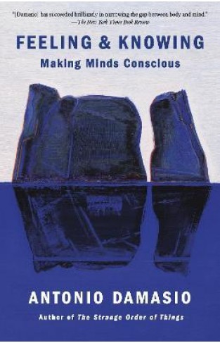 Feeling & Knowing - Making Minds Conscious