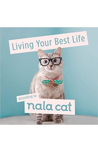 Living Your Best Life According to Nala Cat