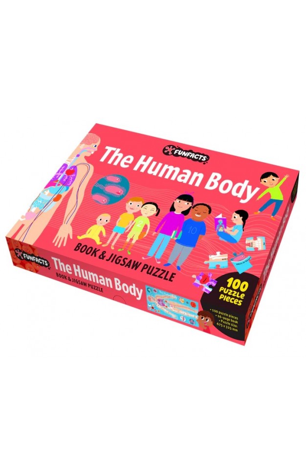 The Human Body Factivity