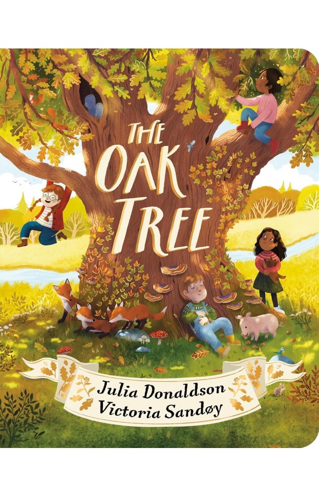 The Oak Tree CBB a dazzling celebration of nature by Julia Donaldson