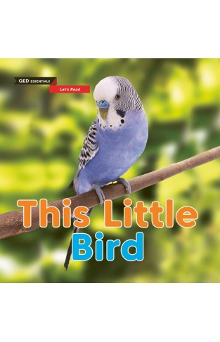 Let's Read - This Little Bird
