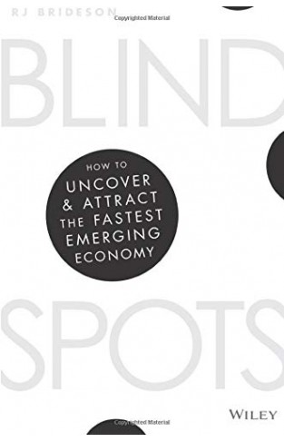 Blind Spots: How to uncover and attract the fastest emerging economy