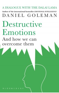 Destructive Emotions and How We Can Overcome Them 
