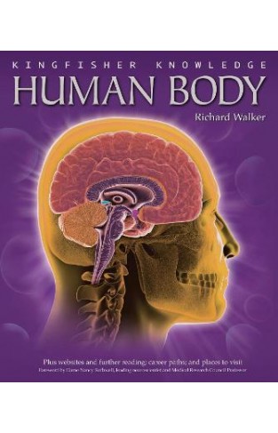 Human Body