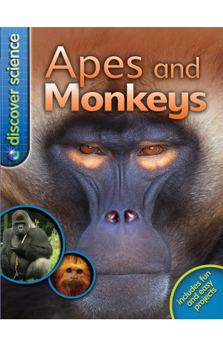 Disover Siene Apes and Monkeys            