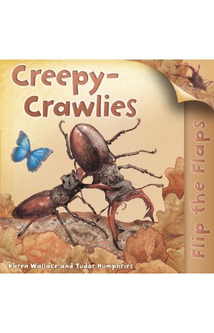 Flip The Flaps: Creepy-Crawlies