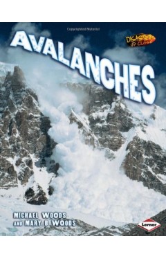 Disasters Up Close: Avalanches