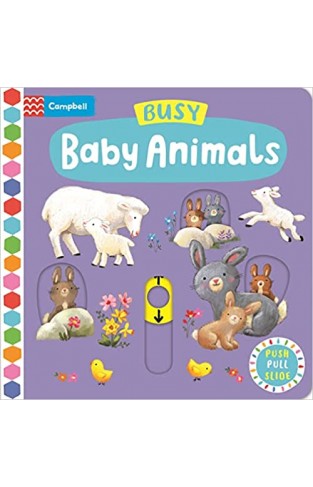 BUSY BABY ANIMALS MME