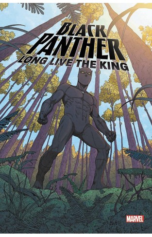 Black Panther: Long Live the King