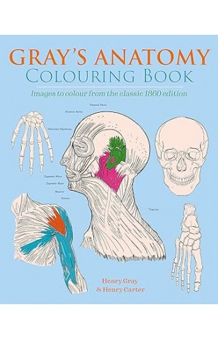Gray's Anatomy Colouring Book: Images to Colour from the Classic 1860 Edition