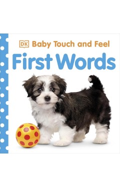 Baby Touch and Feel First Words - (BB)
