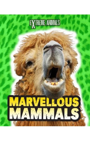 Marvellous Mammals